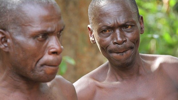 Two older men in the forest, looking pensive